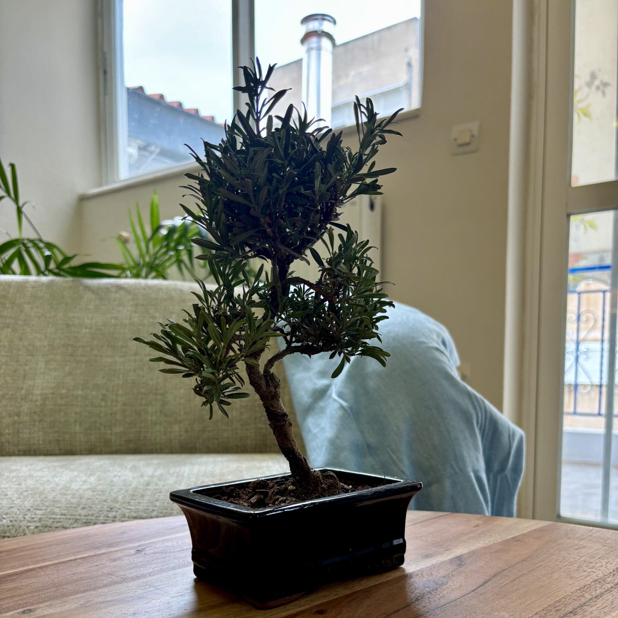 image00008